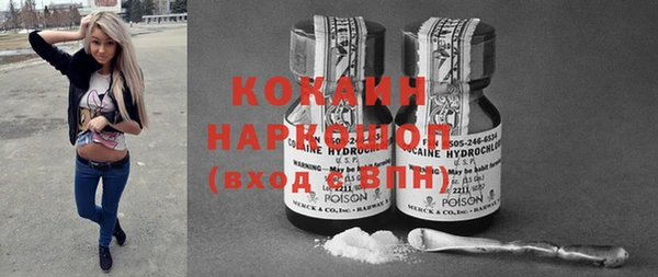 индика Абаза
