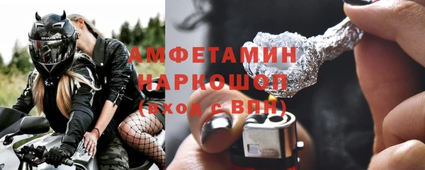 индика Абаза
