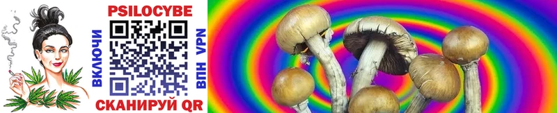 Галлюциногенные грибы Cubensis  цены наркотик  Болохово 